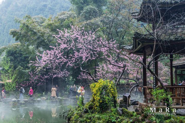 快递不送货上门可以投诉吗-专业问答平台,快速解答您的疑问